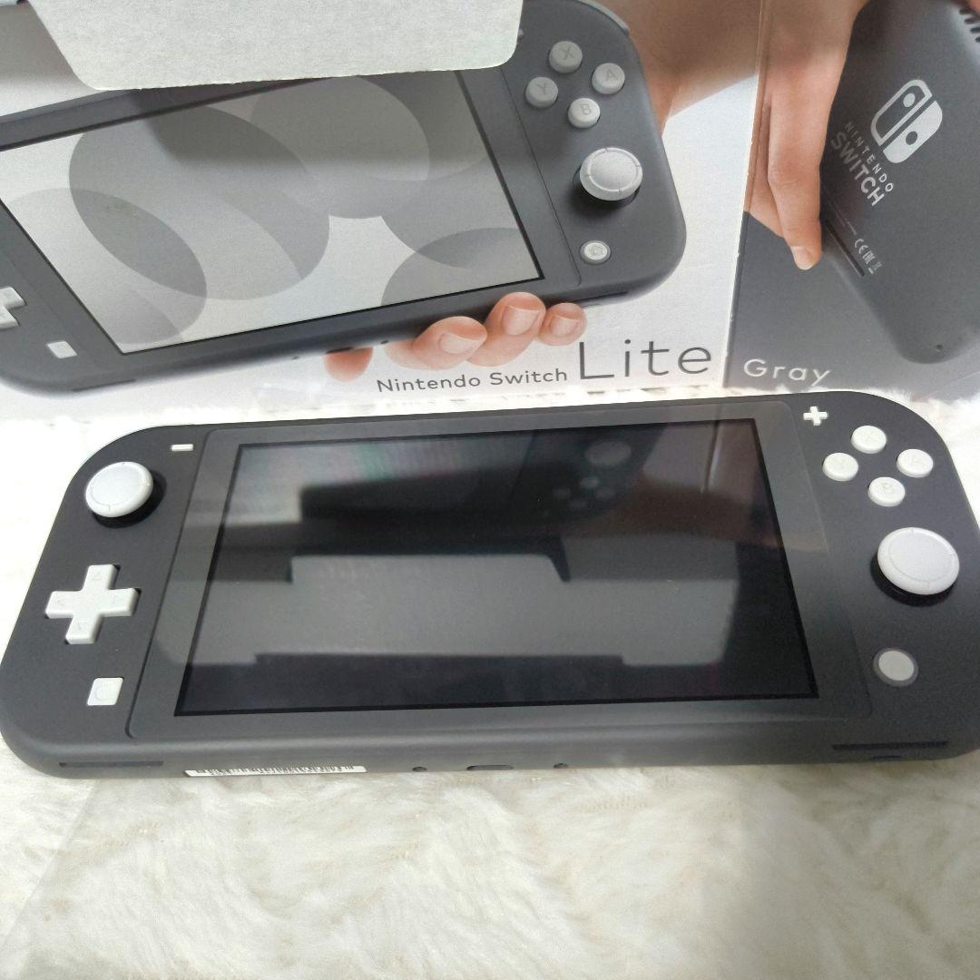 Switchライト グレー 本体 箱・充電器付き