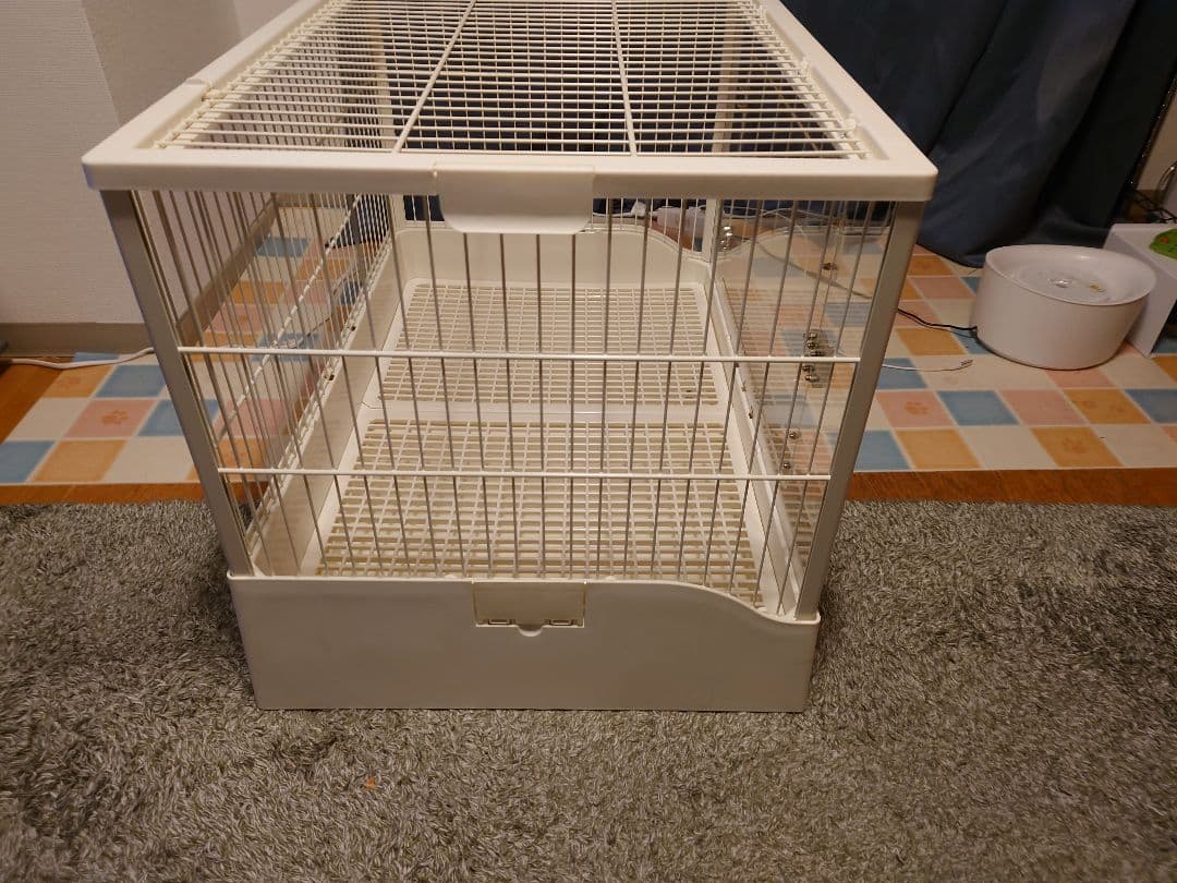 ○ねこ○ GEX クリアフロント80