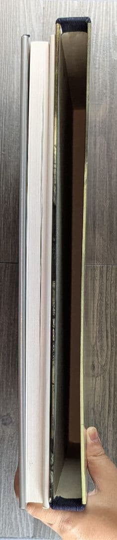 中国美術 劉奎齢画集 天津人民美術出版社