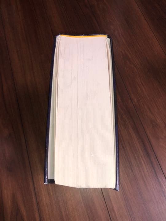 洋書 the Pharmacological Basis of Therapeutic