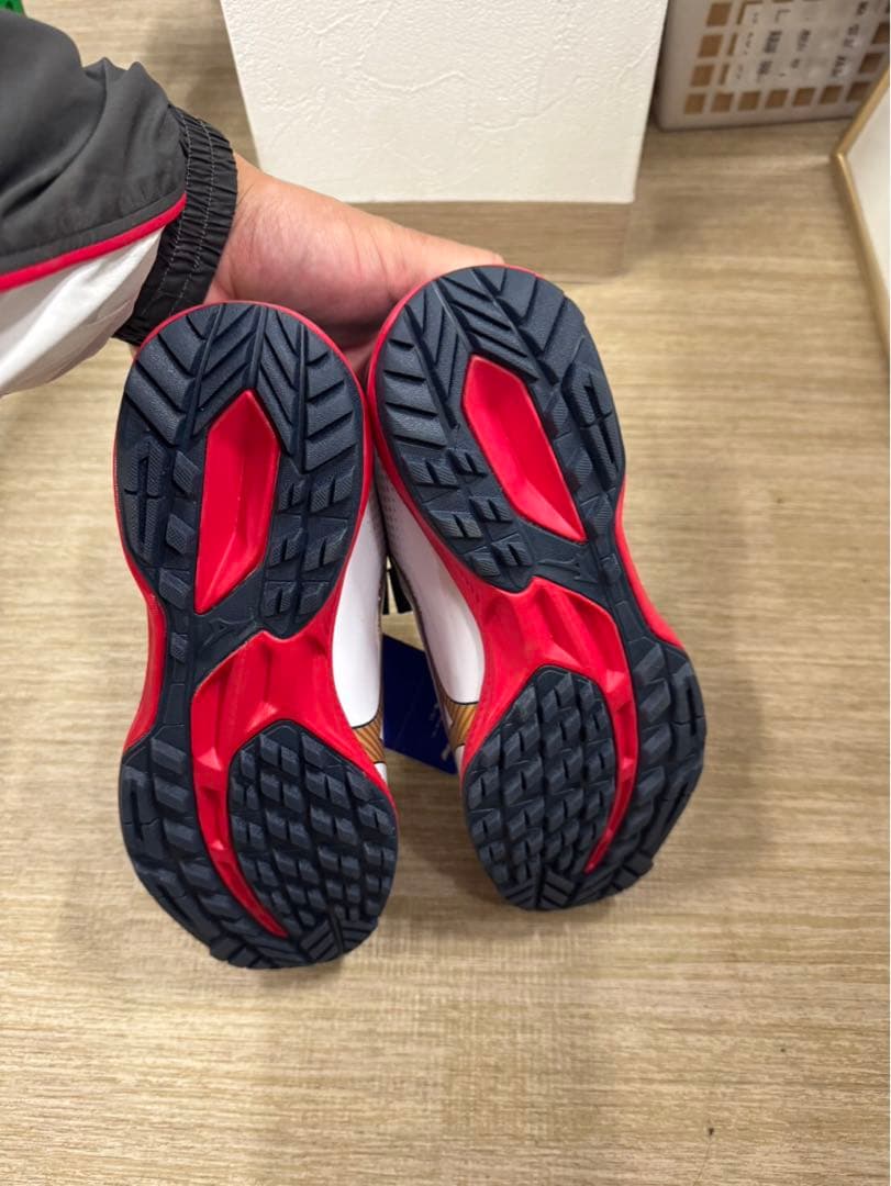 トレーニングシューズ MIZUNO ミズノ 品番　11GT2220142 25㎝