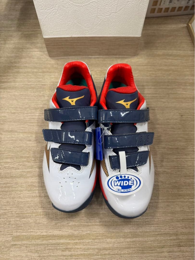 トレーニングシューズ MIZUNO ミズノ 品番　11GT2220142 25㎝