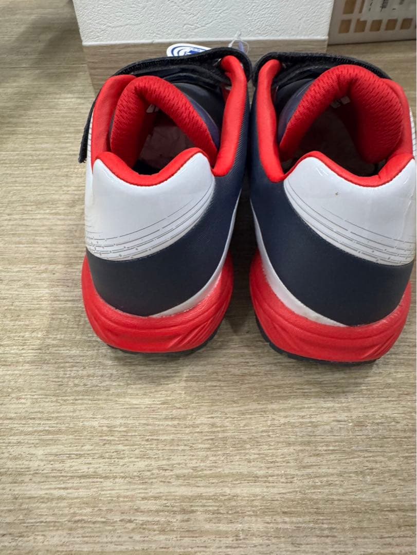 トレーニングシューズ MIZUNO ミズノ 品番　11GT2220142 25㎝