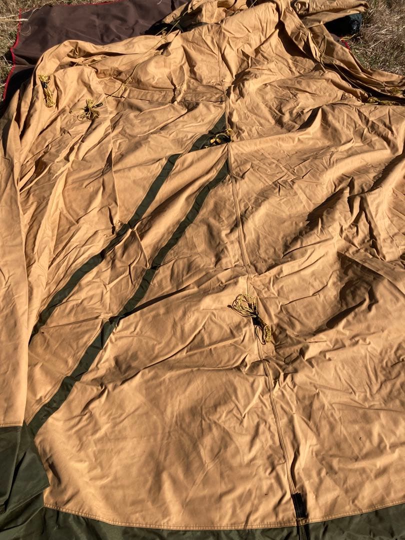 テンティピ　サファイア9cp他オプション