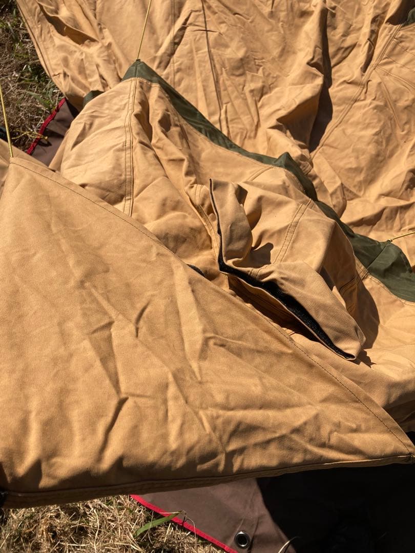 テンティピ　サファイア9cp他オプション