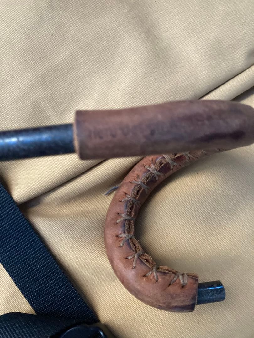 テンティピ　サファイア9cp他オプション