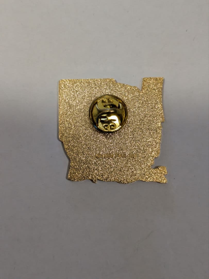 FIFA 2002 ワールドカップ　キャンプ地　津名 コカコーラ ピンバッジ