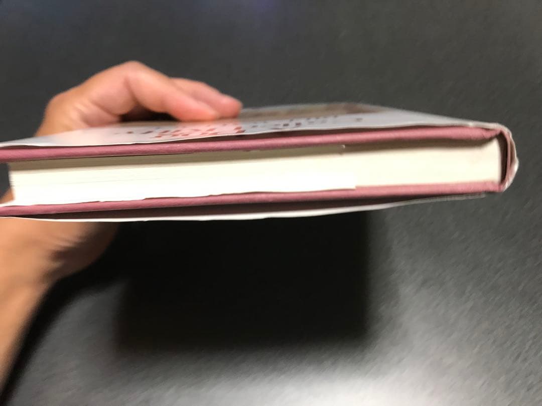 レア洋書A Dog Called Kitty DOG CALLED KITTY