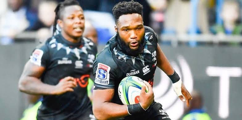 ラグビー 選手支給ジャージ 南アフリカ シャークス L 新品 背番号8 #2