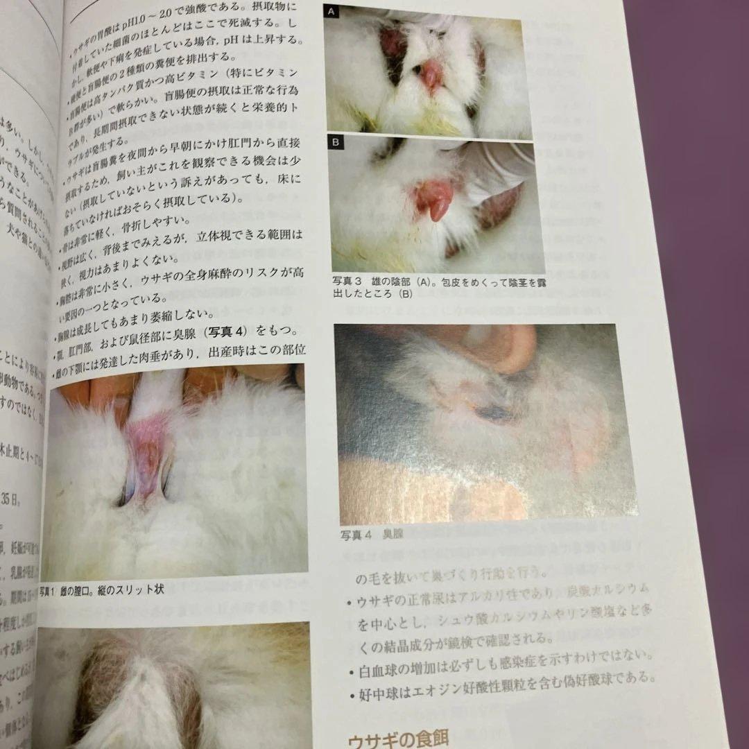 定価15400円　できる!!ウサギの診療　沖田将人　エデュワードプレス