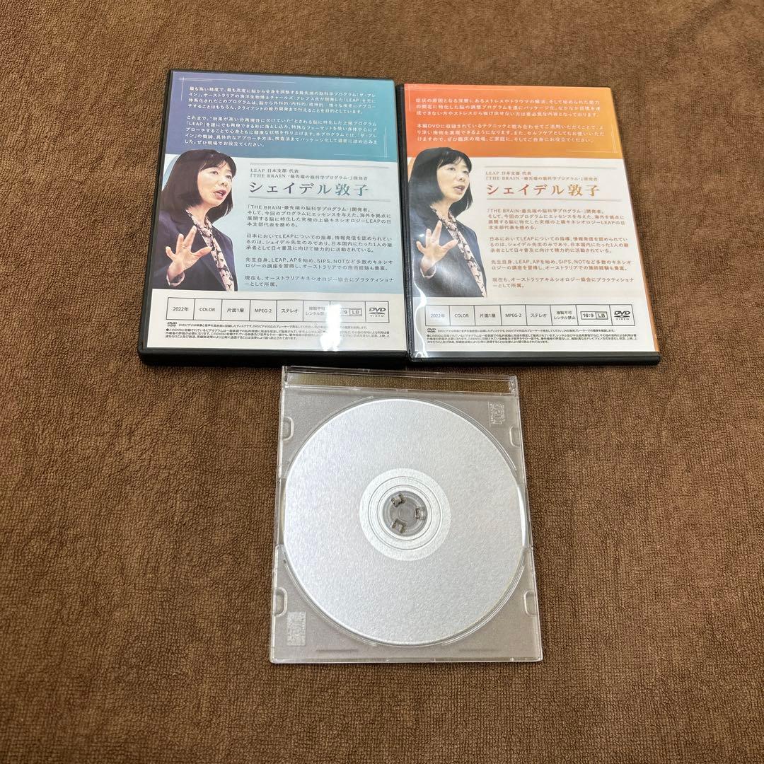 THE BRAIN フルセット　シェイデル敦子先生