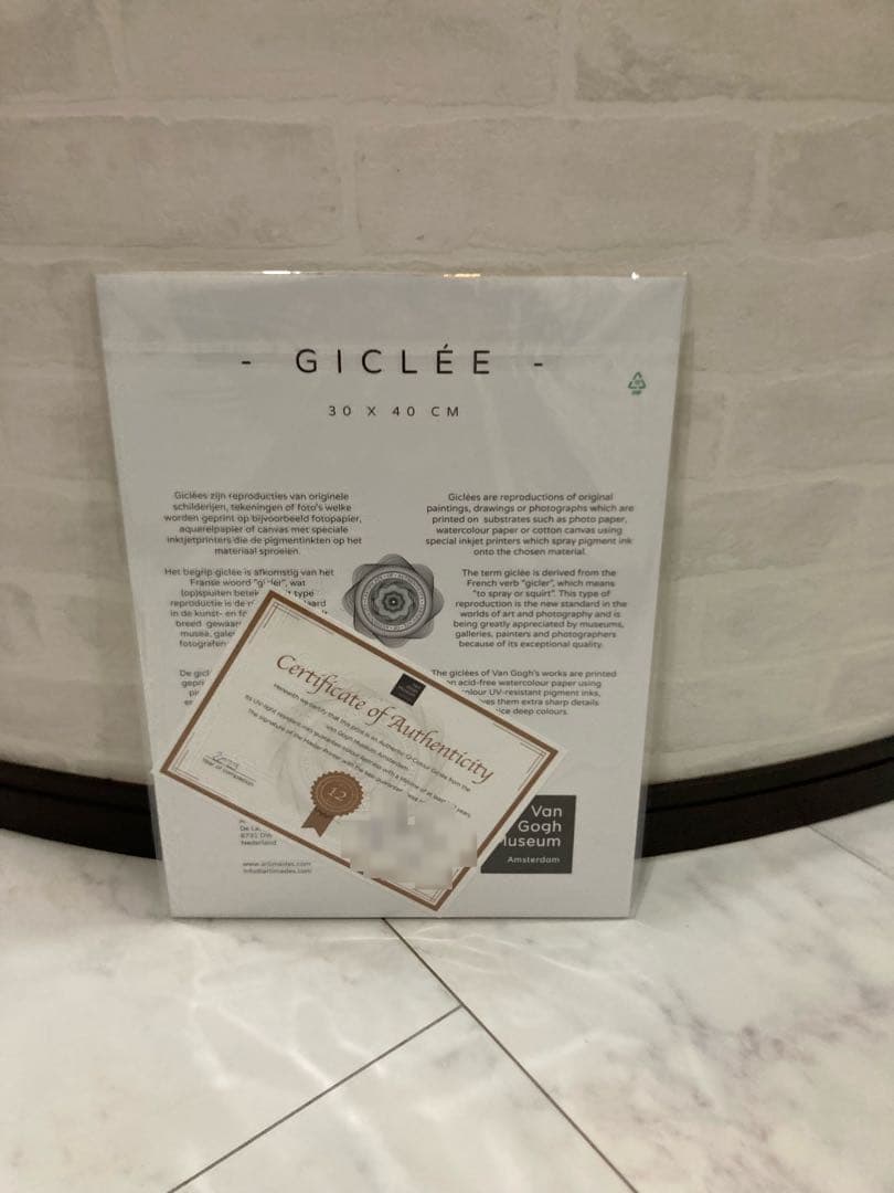 Van Gosh Pikachu Eevee ゴッホ ピカチュウ イーブイ