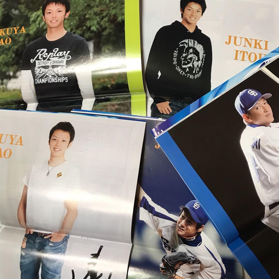 ♡ 中日ドラゴンズ 月刊Dragons 浅尾拓也 立浪和義 伊藤準規 15冊 ♡