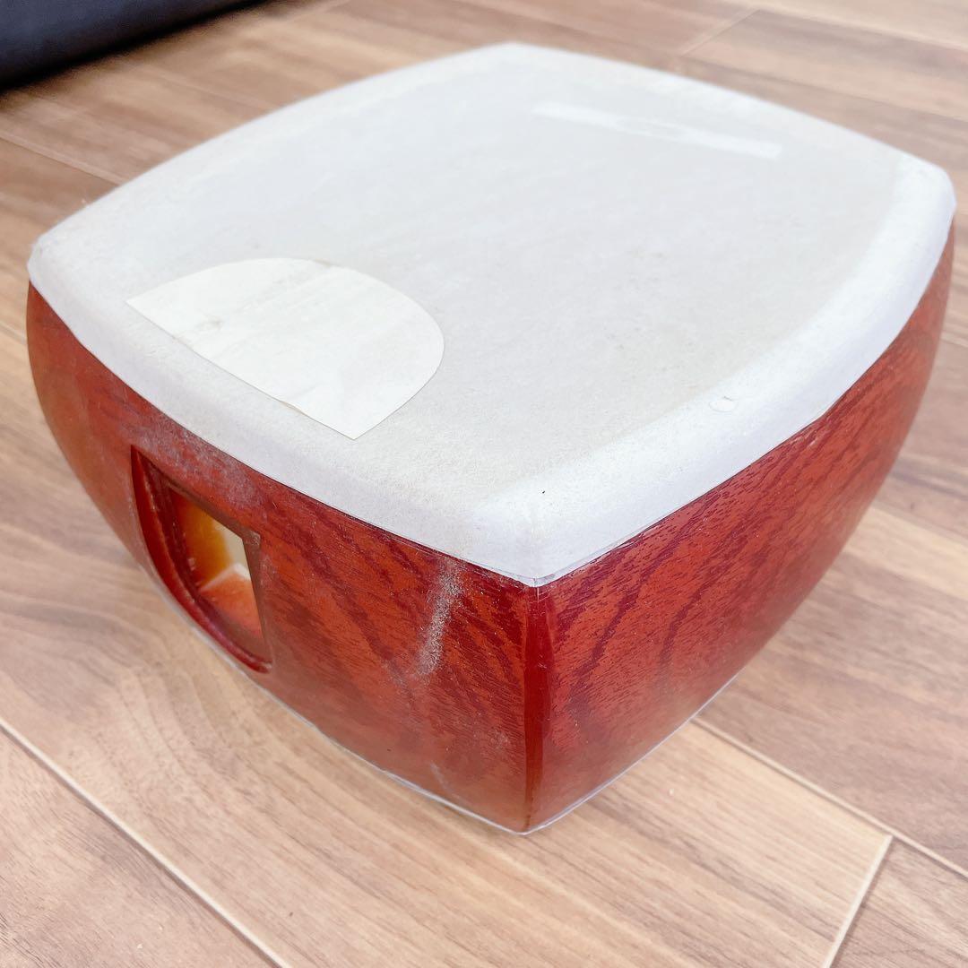 三味線 プラスチック製 １本溝 和楽器