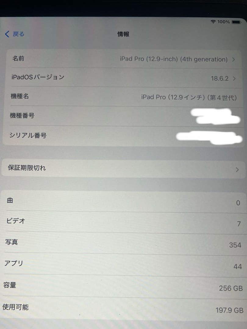 ipad pro(第4世代) 256GB 12.9インチ