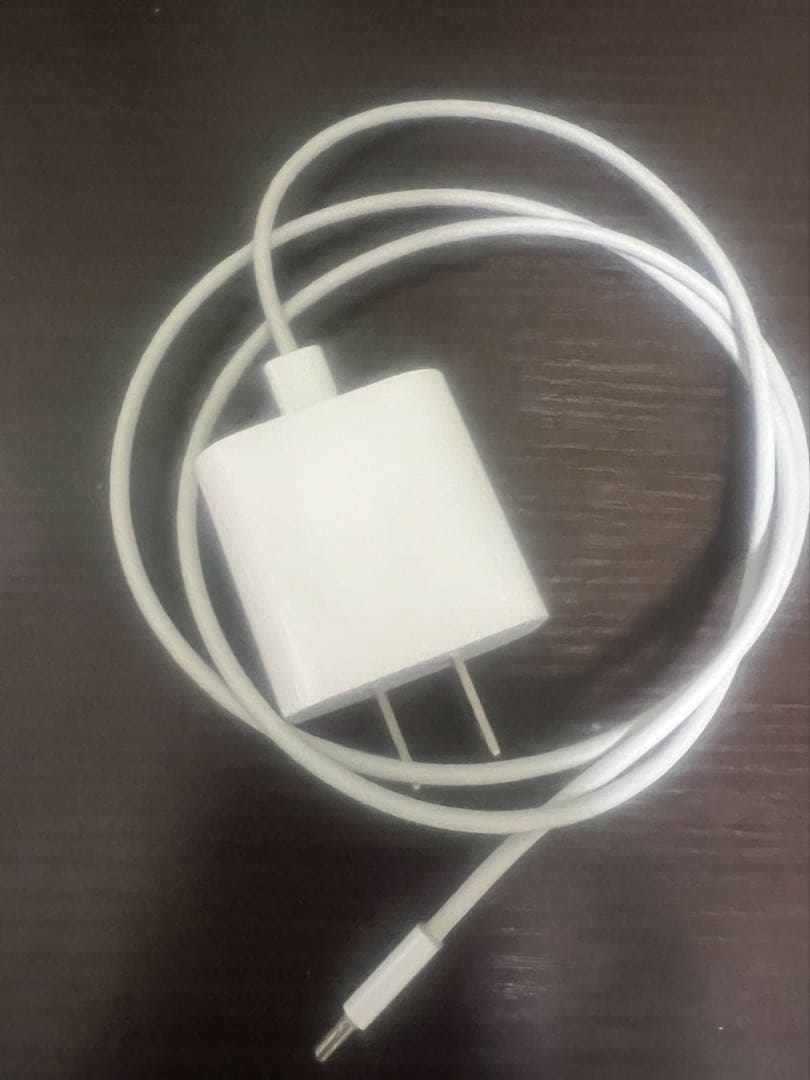 ipad pro(第4世代) 256GB 12.9インチ