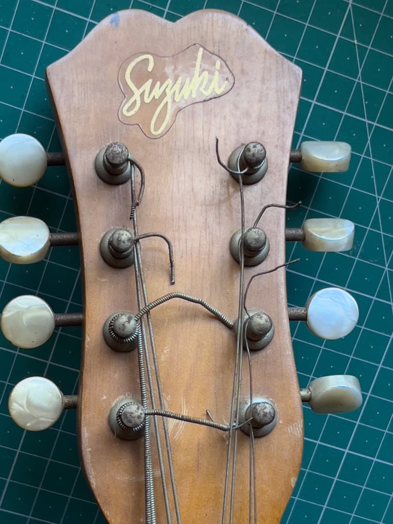 スズキ SUZUKI マンドラ