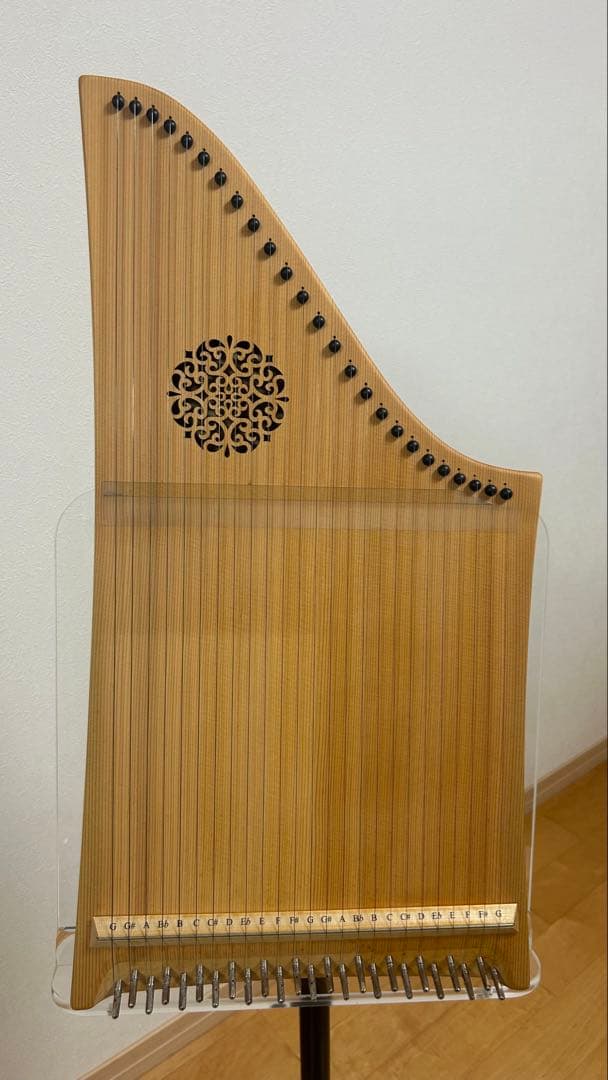 ヘルマンハープ Mタイプ 25弦 2013年製