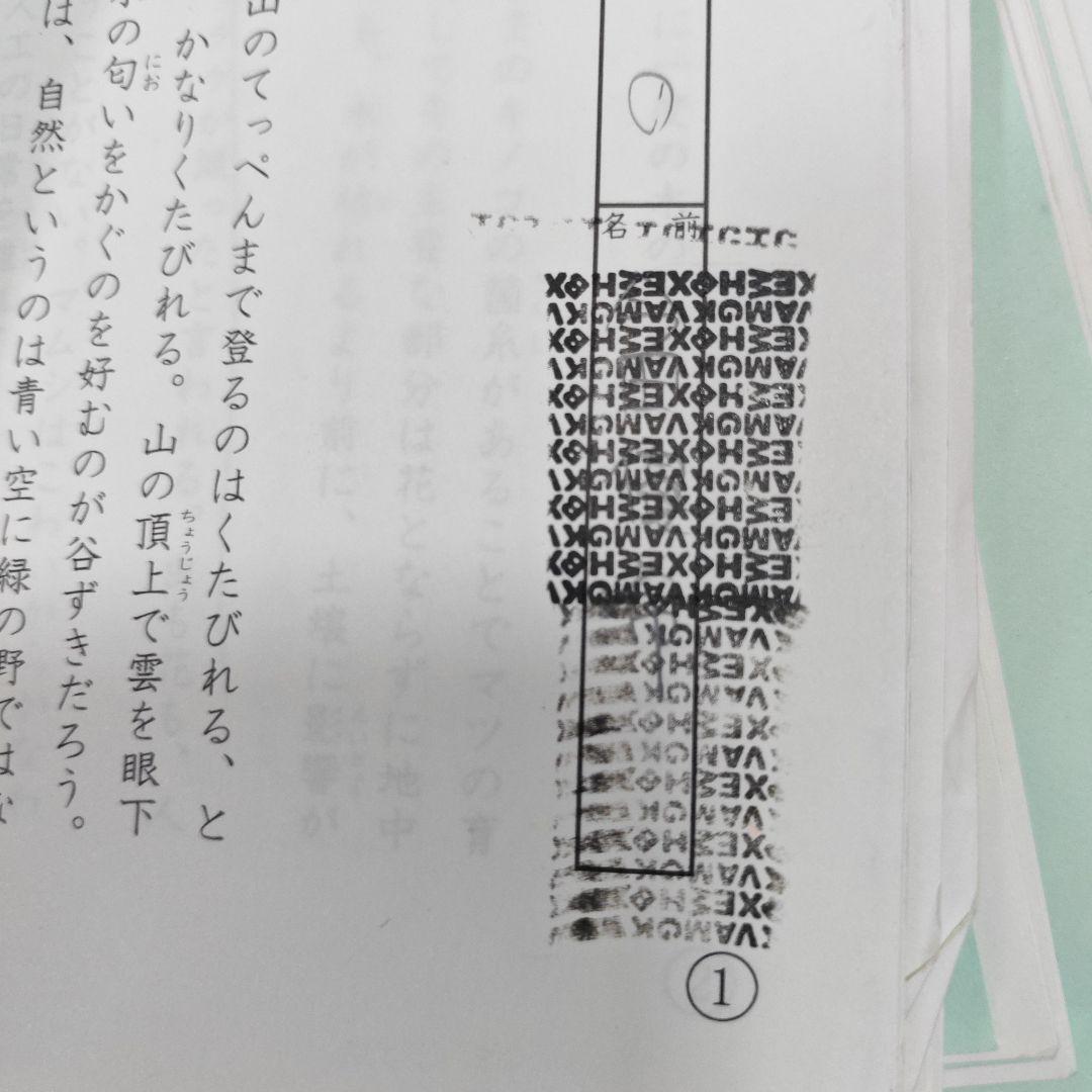 サピックス　小6　国語　桜蔭対策プリント　SS特訓 冬期講習　正月特訓　原本