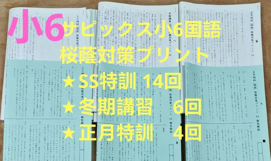 サピックス　小6　国語　桜蔭対策プリント　SS特訓 冬期講習　正月特訓　原本