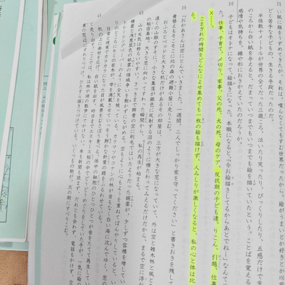 サピックス　小6　国語　桜蔭対策プリント　SS特訓 冬期講習　正月特訓　原本