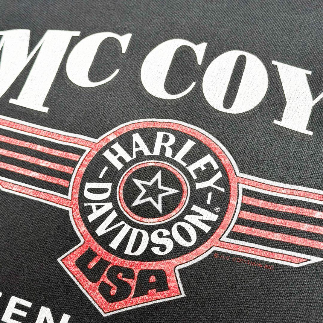 HARLEY DAVIDSON ハーレーロンT フレイムデザイン 古着