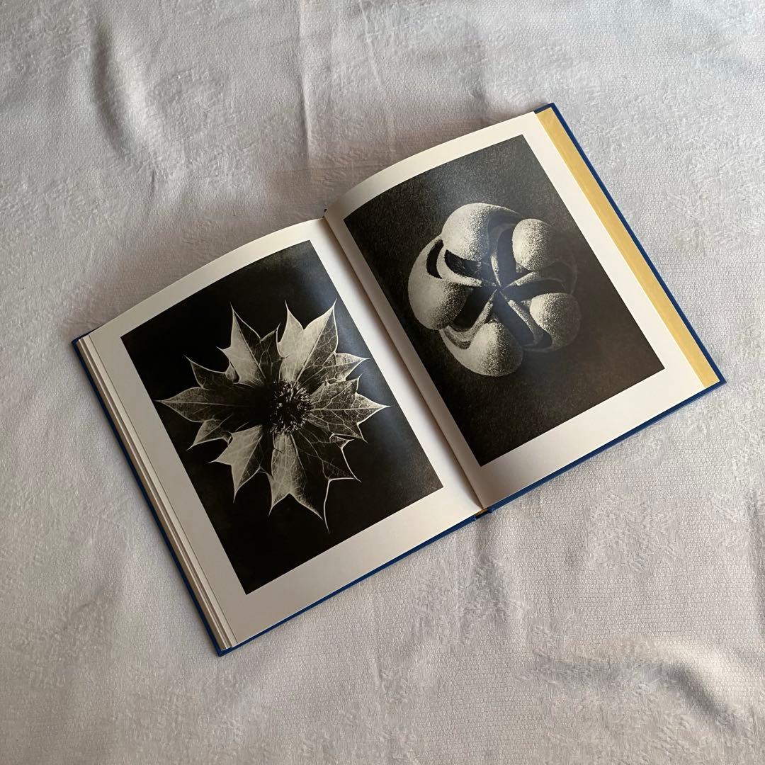 アート・デザイン・音楽 90s Karl Blossfeldt art book