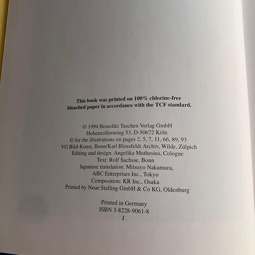 アート・デザイン・音楽 90s Karl Blossfeldt art book