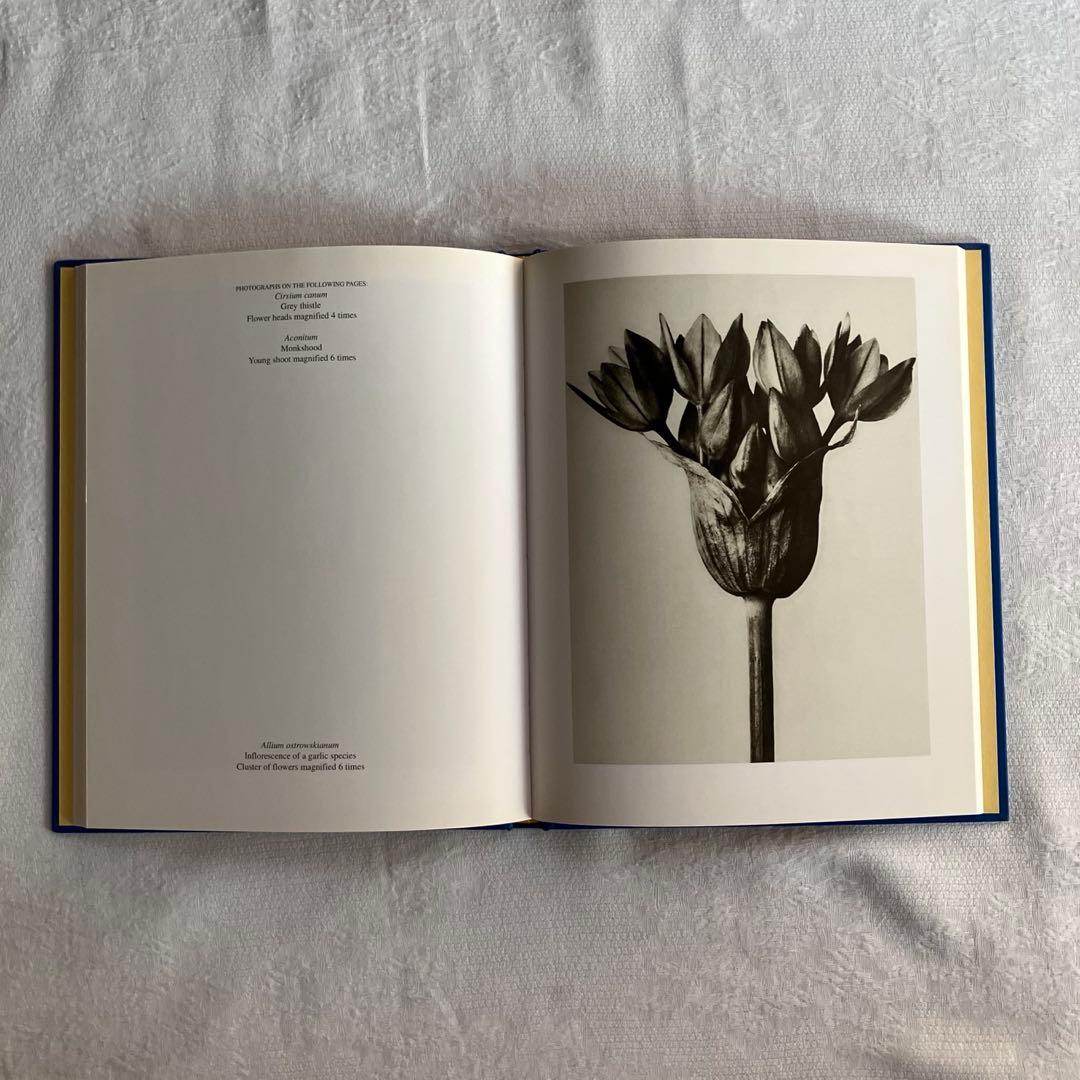 アート・デザイン・音楽 90s Karl Blossfeldt art book
