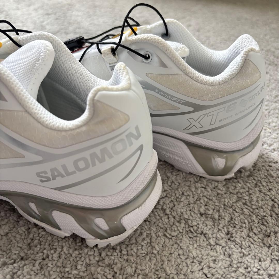 SALOMON♡XT6ゴアテックス トレイルランニングシューズ