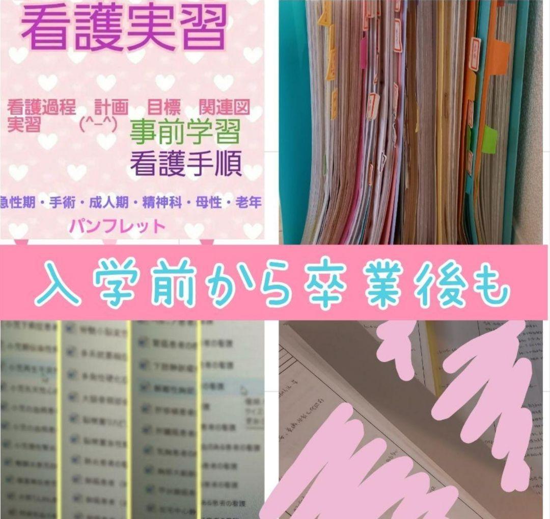 ★看護実習セット★　看護過程　アセスメント　看護目標　看護技術　手順書　看護学生
