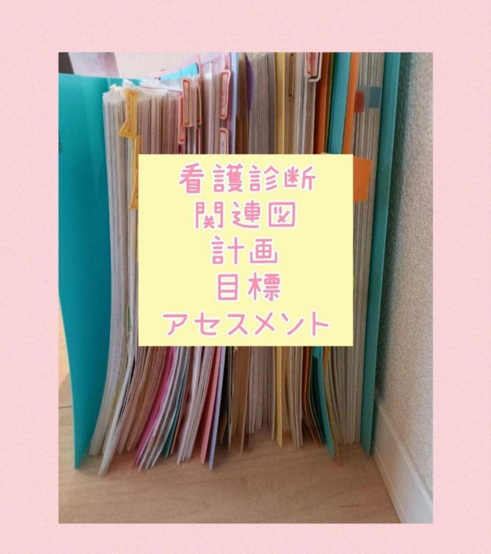 ★看護実習セット★　看護過程　アセスメント　看護目標　看護技術　手順書　看護学生