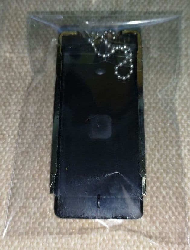 【稀少品】バイオハザード6限定特典　タブレットケース レオン&エイダverセット