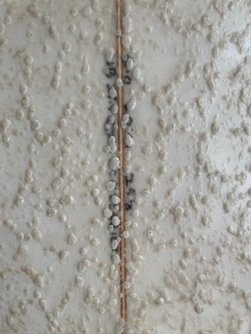 Channel s「Neck Beard」6’0