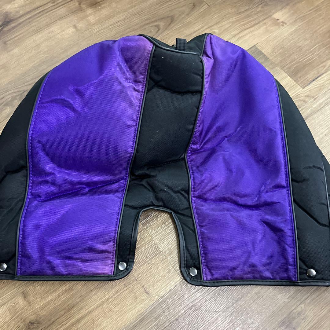 ブリヂストン キャディバッグ ゴルフバッグ BRIDGESTONE パープル