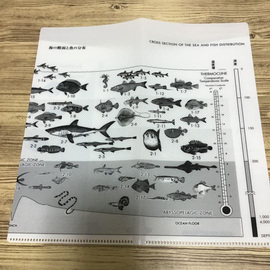 サカナクション 魚図鑑 2CD+Blu-ray　初回限定盤チケットホルダー付