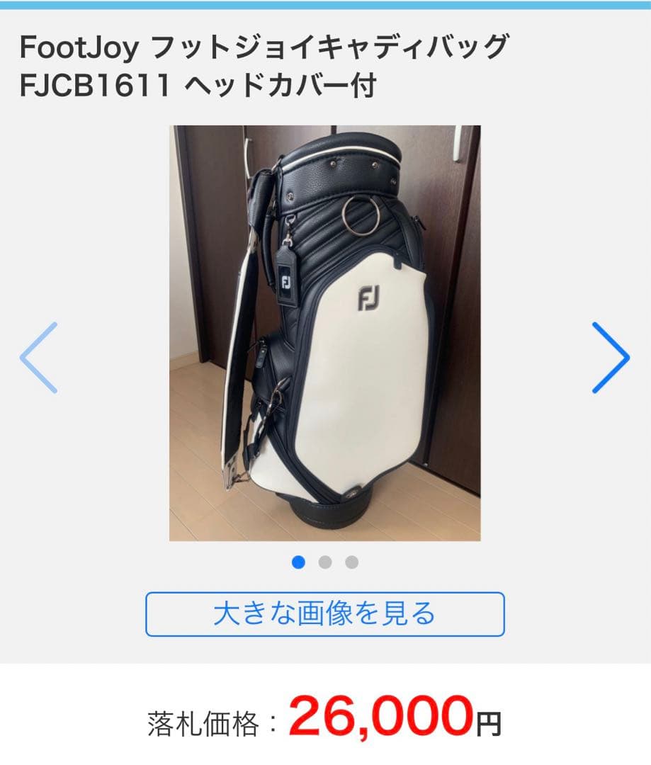 FJ ゴルフバッグ 黒/白（フード有）