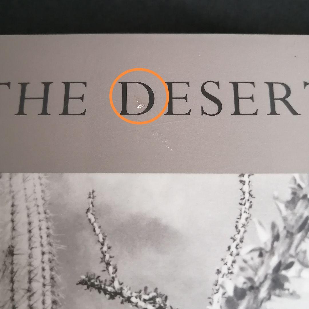 未開封品　リー・フリードランダー写真集　THE DESERT SEEN
