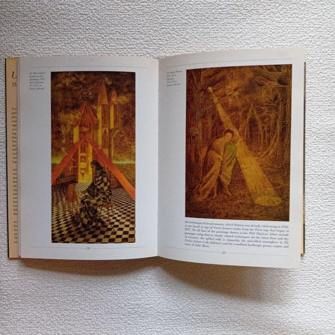 Remedios Varo　レメディオス・バロ : Unexpected‥