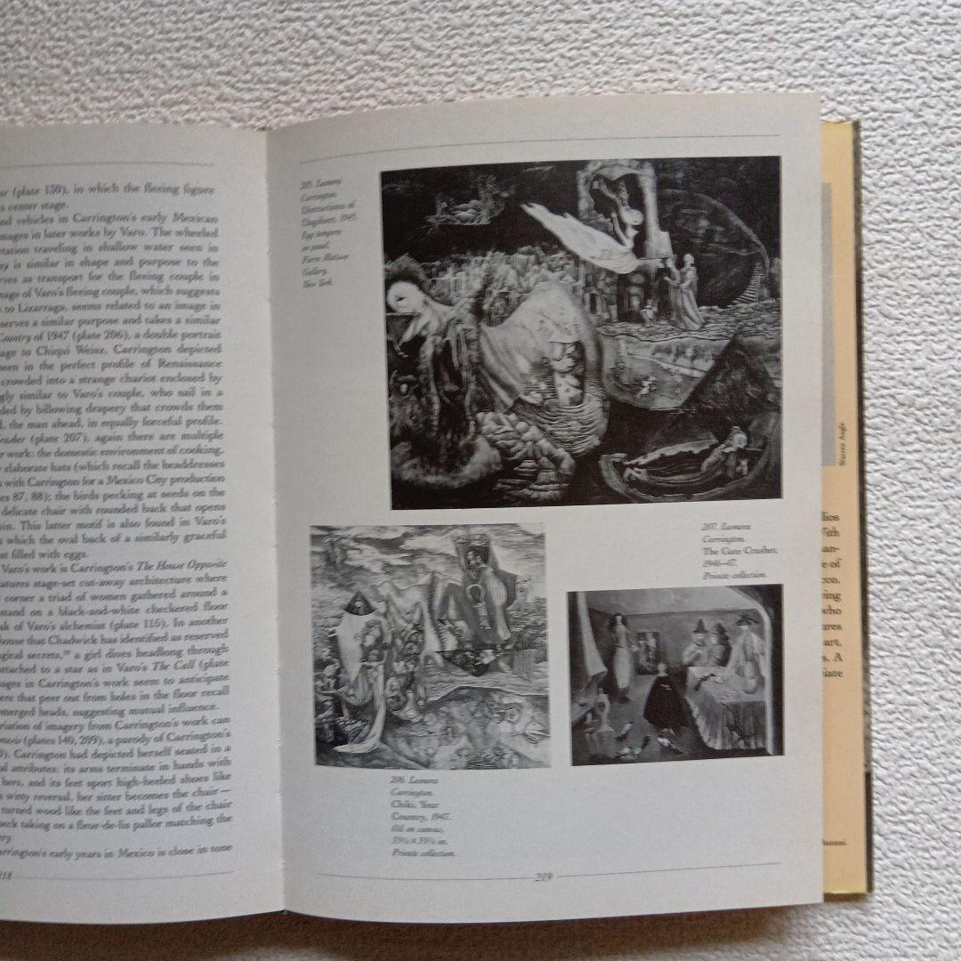 Remedios Varo　レメディオス・バロ : Unexpected‥