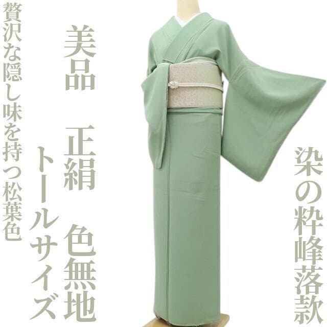 memeriri✾美品 染の粋峰落款 正絹 トールサイズ 色無地 R-76