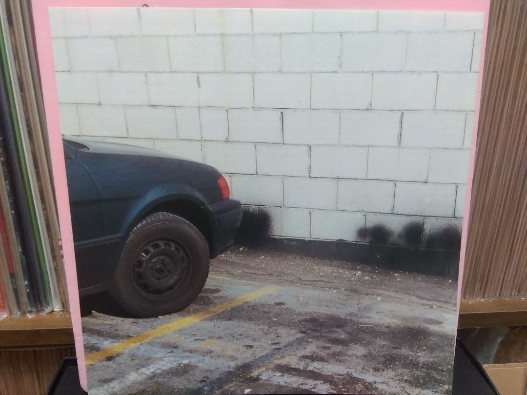 GRAPEVINE Here LP グレイプバイン アナログ レコード