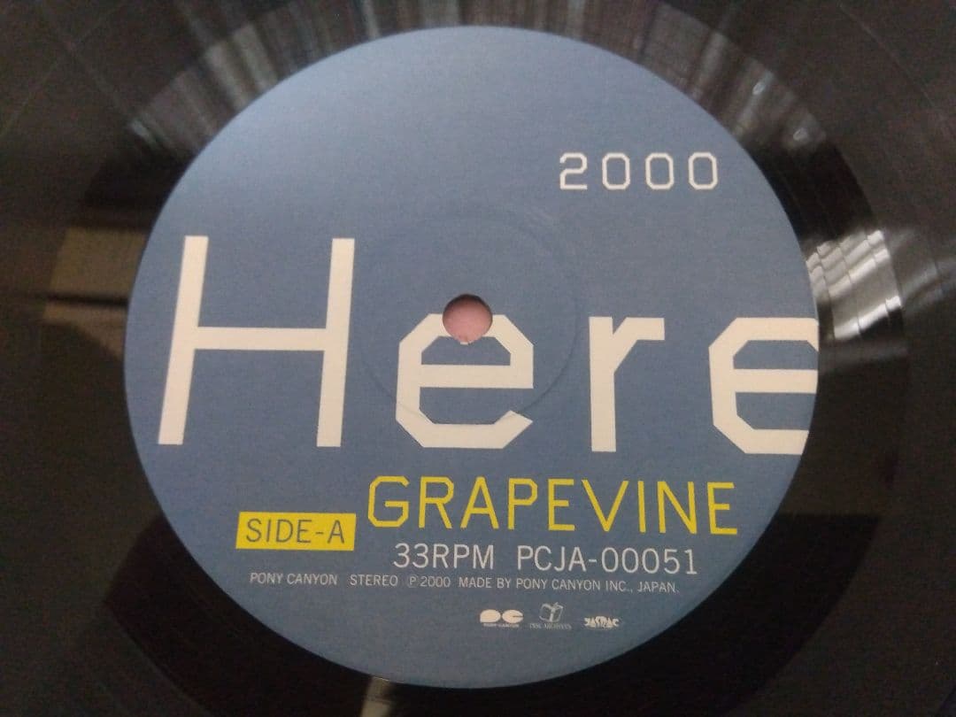 GRAPEVINE Here LP グレイプバイン アナログ レコード