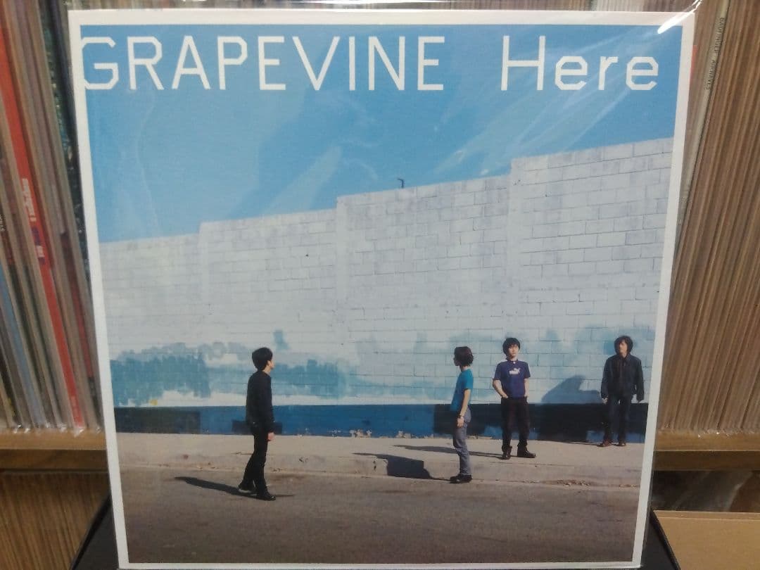 GRAPEVINE Here LP グレイプバイン アナログ レコード