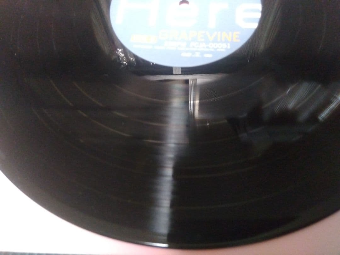 GRAPEVINE Here LP グレイプバイン アナログ レコード