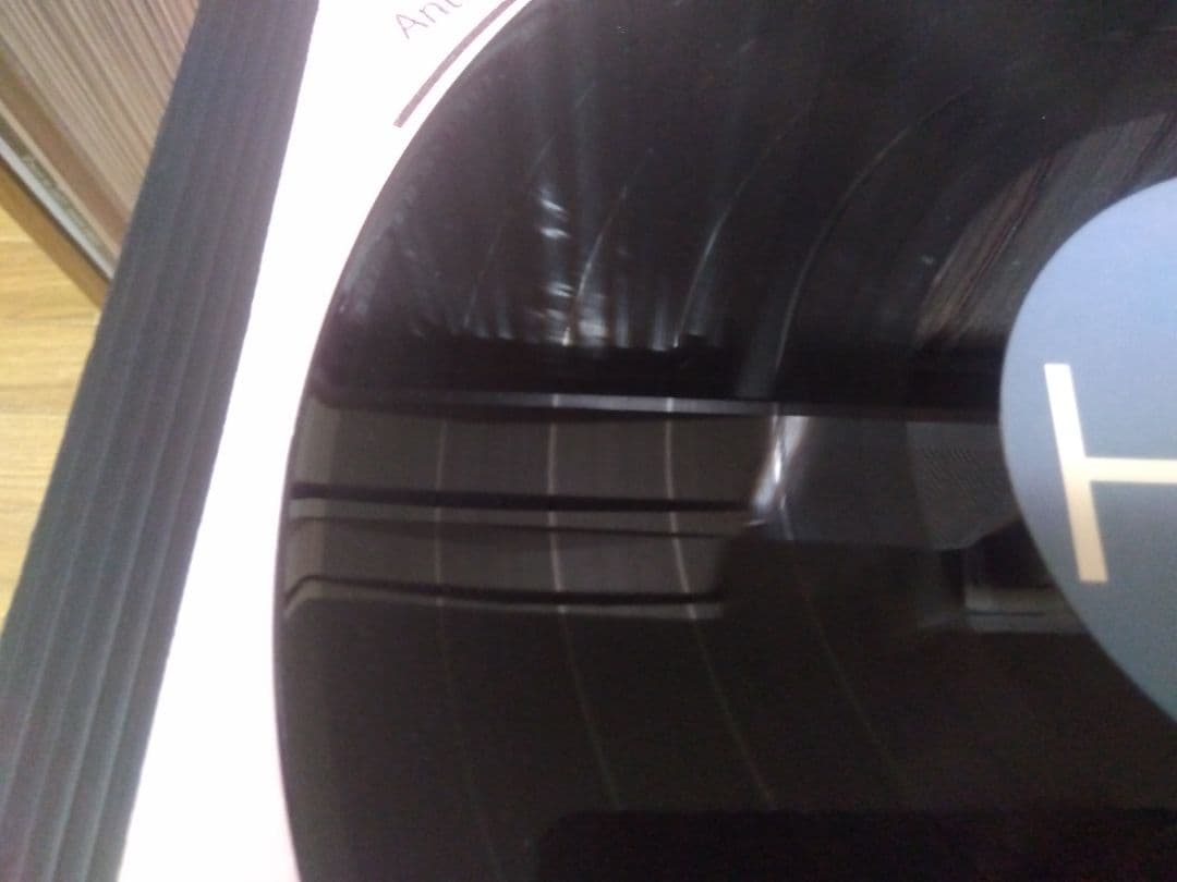 GRAPEVINE Here LP グレイプバイン アナログ レコード