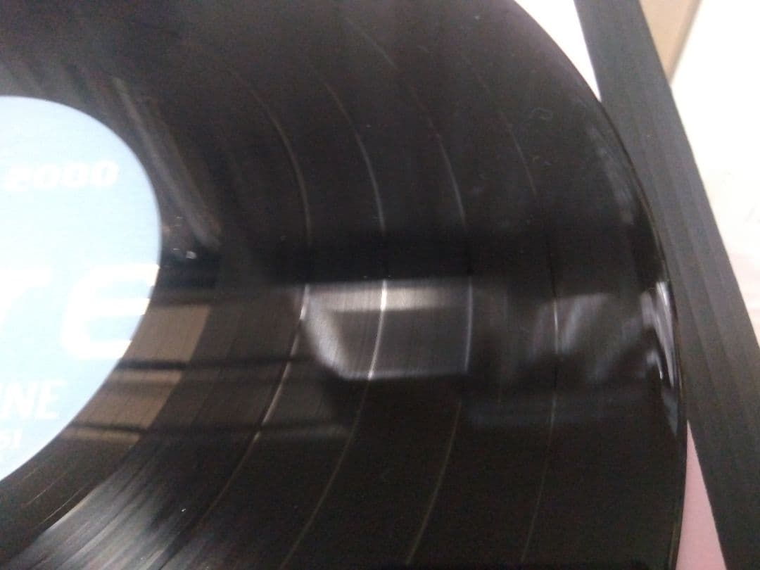 GRAPEVINE Here LP グレイプバイン アナログ レコード