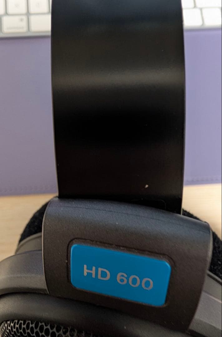 Sennheiser HD 600 有線ヘッドホン