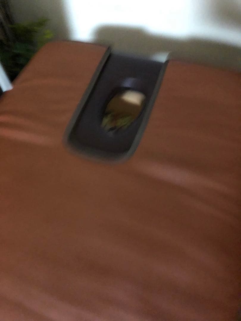 SEVEN BEAUTY 温熱リラクゼーションマット　ヒートマット美品