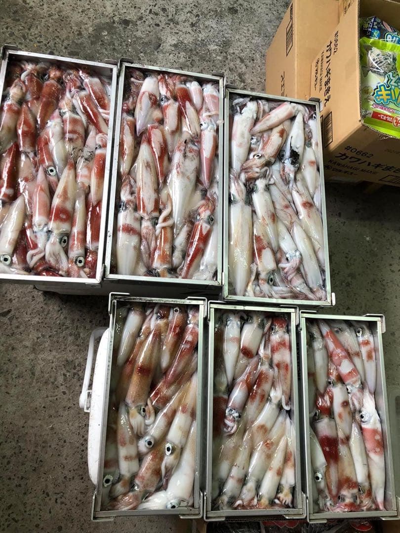 原価　鉛スッテ四つ目25号×２個＋ezスリム80mm ×11個 計13個セット